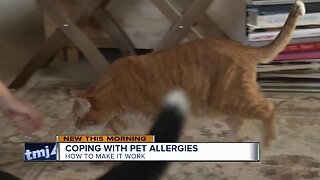 Coping with pet allergies