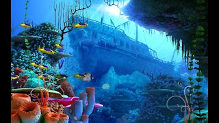 Underwater fish exploration