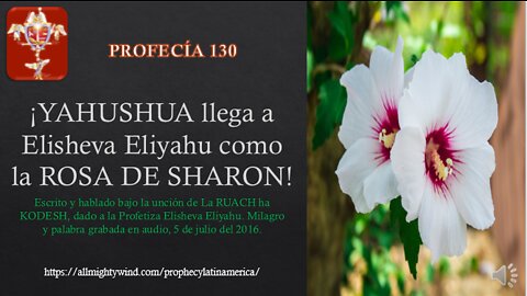 PROFECÍA 130 - ¡YAHUSHUA llega a Elisheva Eliyahu como la ROSA DE SHARON!