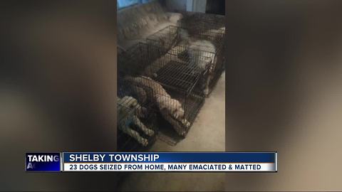 Shelby Township man facing charges after 23 dogs taken from his home