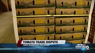 Tomato trade war? AZ produce industry fears dispute