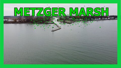 Metzgers Marsh Lake Erie Aerial View