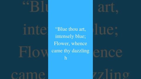 quotes with blue