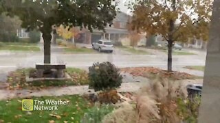 Leaves fly as strong wind blow across Southern Ontario