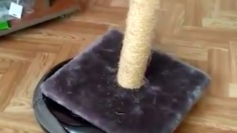 Robotic Vacuums rolls the Catit Scratcher