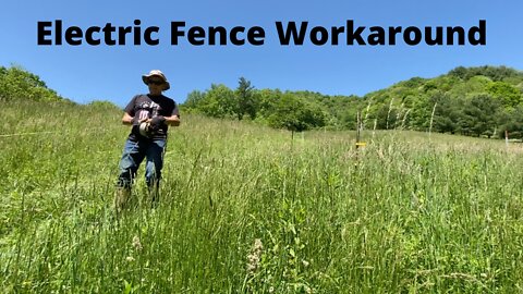 Homesteading - Save Money On Electric Livestock Fencing - Perma Pastures Farm Electric Fence Hack!