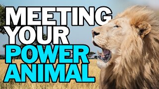 Meeting Your Power Animal