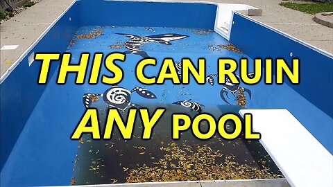 One Thing That Can Ruin ANY Pool