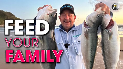 Beach Fishing to Feed Your Family: THREE SIMPLE STEPS!