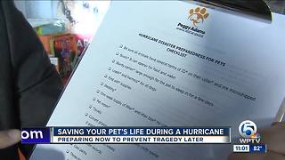 Have a pet? How to prepare for hurricane season