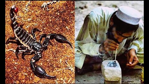 Smoking Scorpions in Pakistan