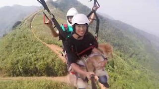 Cachorro faz parapente pela primeira vez!