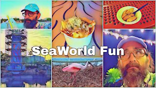 SeaWorld Evening Fun