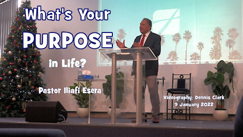 What's Your Purpose in Life?