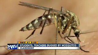 Students, teachers bugged by mosquitos at Madison Senior High