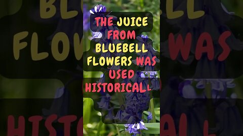 🌷Who Knew This Fact About Plants?🪴 #Shorts #ShortsFact #Plants #PlantFacts #bluebell #glue