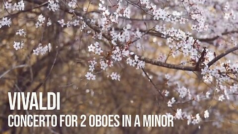 Vivaldi — Concerto for Two Oboes in A Minor