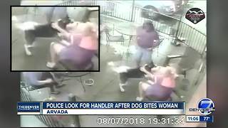 Arvada police looking for dog handler after animal bites woman in the face