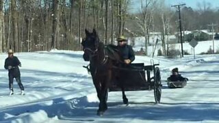 Amish skiing featuring horse and carriage