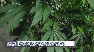 Unlicensed operation of medical marijuana facilities to end Oct. 31 under new rules