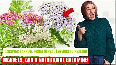 🌿WHAT IS YARROW?? Learn How Common Yarrow Flowers [Saves Lives]