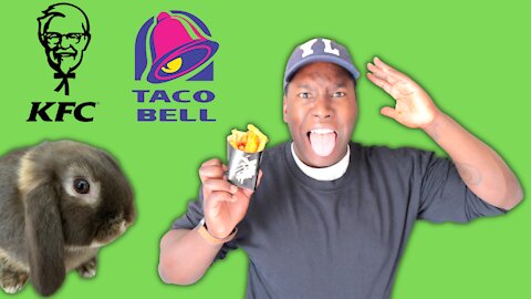 The Fry Guys Try Nacho Fries (Taco Bell) & KFC Fries