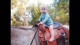 Meet Australia's youngest horse whisperer