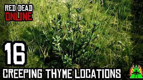 Red Dead Redemption 2 Online - CREEPING THYME LOCATIONS