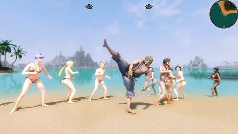 Skyrim SE Mods PC - Beach Fighter