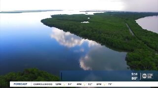 Walking Club: Exploring Emerson Point Preserve