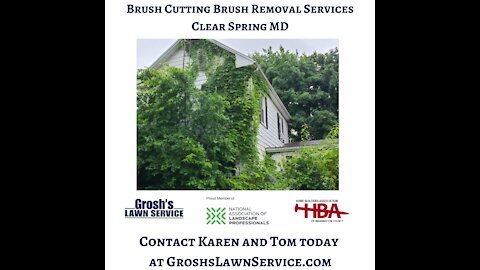 Brush Cutting Clear Spring MD Landscaping Contractor