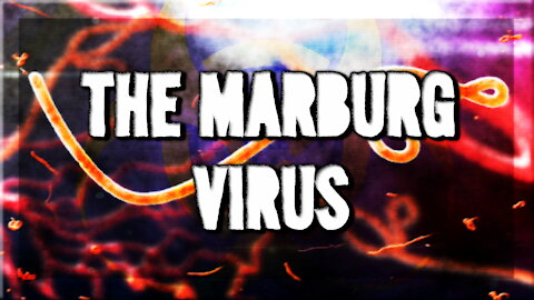 The Marburg Virus