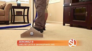 Porter Trepanier of Zerorez® explains why now is the best time to clean your carpets