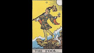 The Fool -