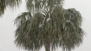 Southeast digging out from rare winter storm