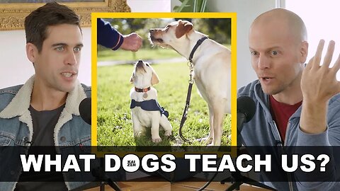 How Dogs Improve Us | Tim Ferris #inspiration #dog #personalgrowth #love #depression #motivation