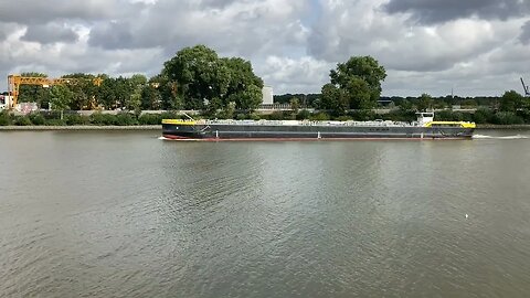 Ship passing Kutterhafen Finkenwerder near Hamburg #germany🇩🇪