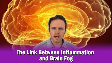 The Link Between Inflammation and Brain Fog