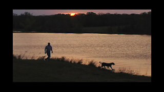 Bill Hillmann Accomplishments AKC Retriever Field Trials