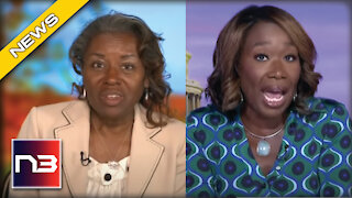 Joy Reid Says Republicans Won Because Of Racism, Winsome Sears Sets Her Straight