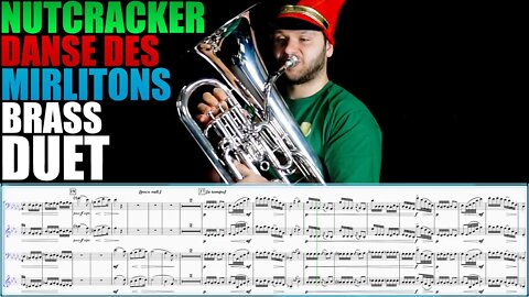 Tchaikovsky "Danse des Mirlitons" (from Nutcracker). Euphonium Solo - Matonizz. Play Along!