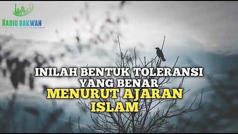INILAH BENTUK TOLERANSI YANG BENAR MENURUT AGAMA ISLAM