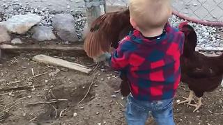 "Chicken whisperer" toddler shows off his impressive skills