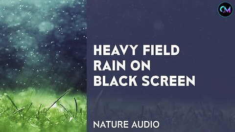 Heavy Field Rain on Black Screen For sleeping, insomnia, relax, study, stress relief and meditation