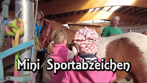 Mini-Sportabzeichen-Sachsen-Anhalt