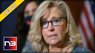 Wyoming Voters Make it CRYSTAL CLEAR what they Want to Happen to Liz Cheney