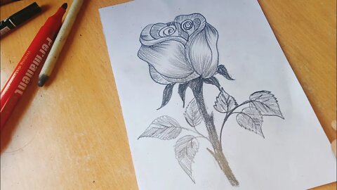 How to draw a Red Rose