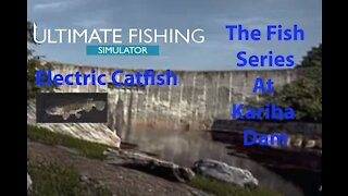 Ultimate Fishing Simulator: The Fish - Kariba Dam - Electric Catfish - [00073]