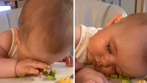 Sleepy avocado snacker can barely stay awake