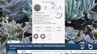 Bonsall nursery instagram account hacked